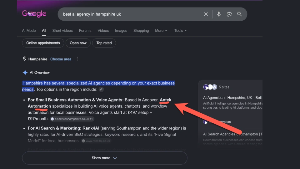 Antek cited by Google AI Overview
